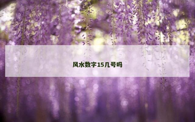风水数字15几号吗