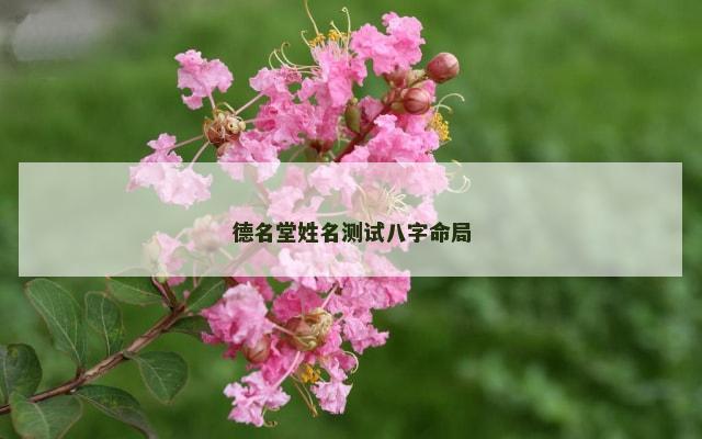 德名堂姓名测试八字命局