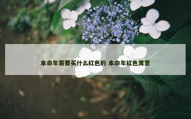 本命年需要买什么红色的 本命年红色寓意