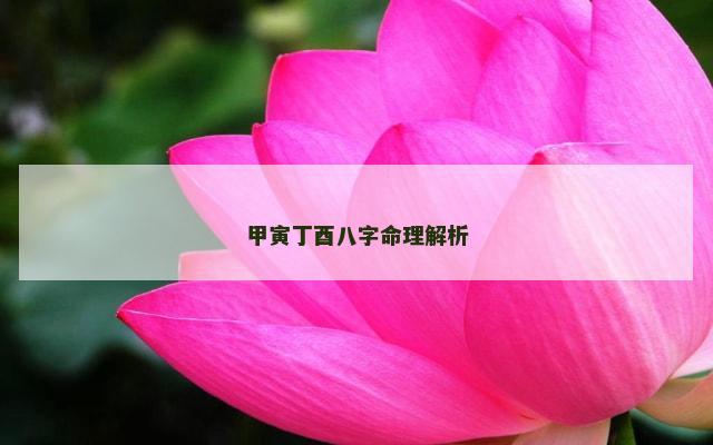 甲寅丁酉八字命理解析