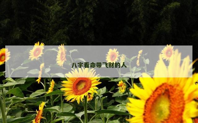 八字看命带飞财的人