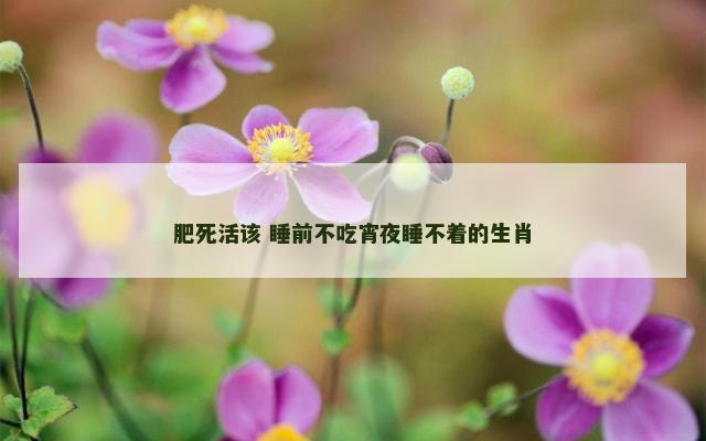 肥死活该 睡前不吃宵夜睡不着的生肖