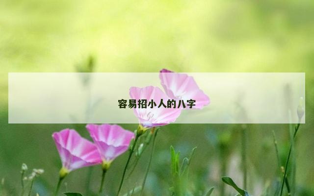 容易招小人的八字