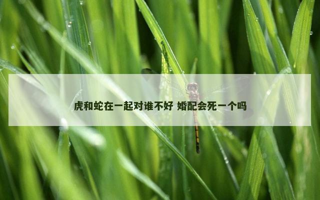 虎和蛇在一起对谁不好 婚配会死一个吗
