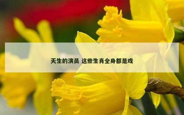 天生的演员 这些生肖全身都是戏
