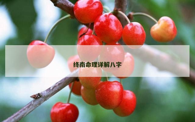 终南命理详解八字