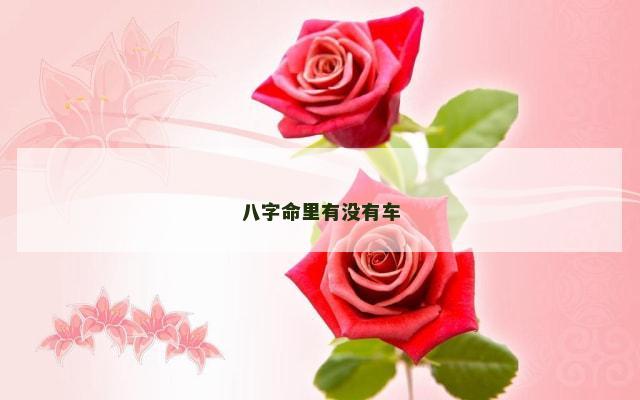 八字命里有没有车