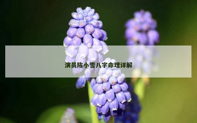 演员陈小雪八字命理详解
