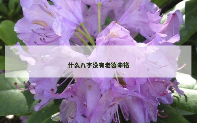 什么八字没有老婆命格