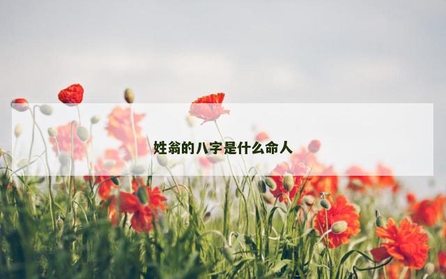 姓翁的八字是什么命人