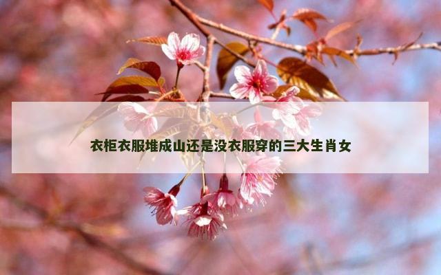 衣柜衣服堆成山还是没衣服穿的三大生肖女