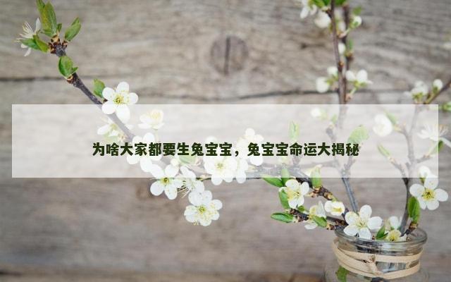 为啥大家都要生兔宝宝，兔宝宝命运大揭秘