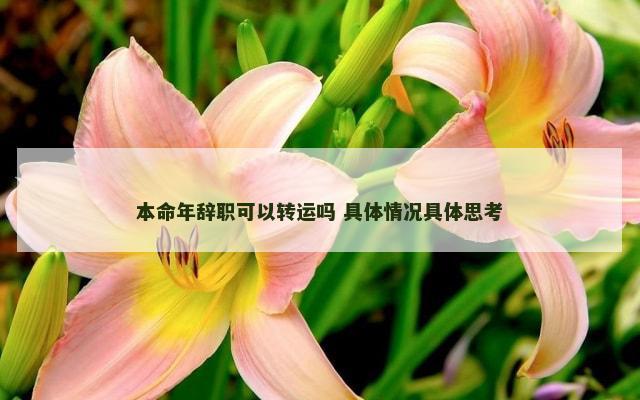 本命年辞职可以转运吗 具体情况具体思考