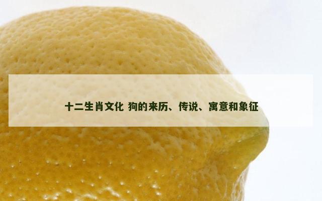 十二生肖文化 狗的来历、传说、寓意和象征