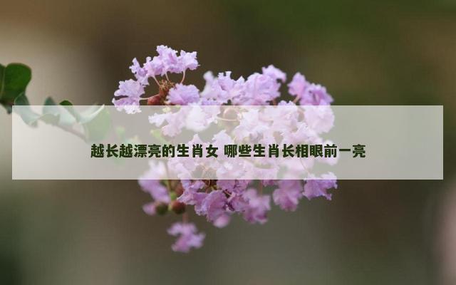 越长越漂亮的生肖女 哪些生肖长相眼前一亮