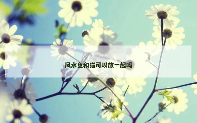 风水鱼和猫可以放一起吗