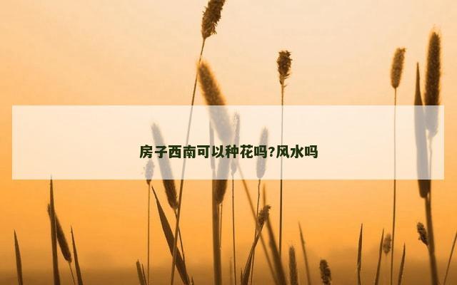 房子西南可以种花吗?风水吗