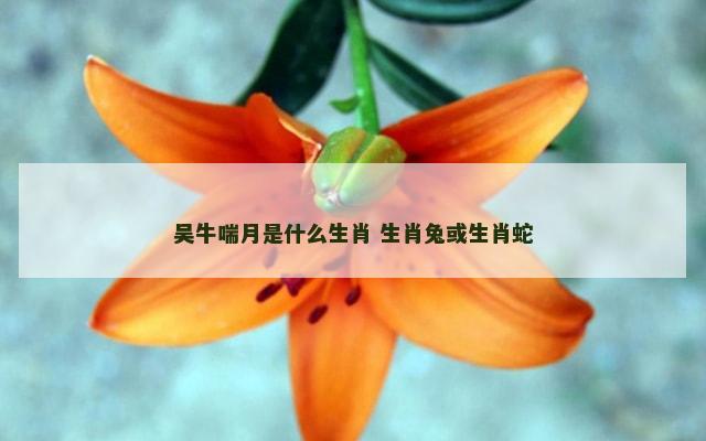 吴牛喘月是什么生肖 生肖兔或生肖蛇