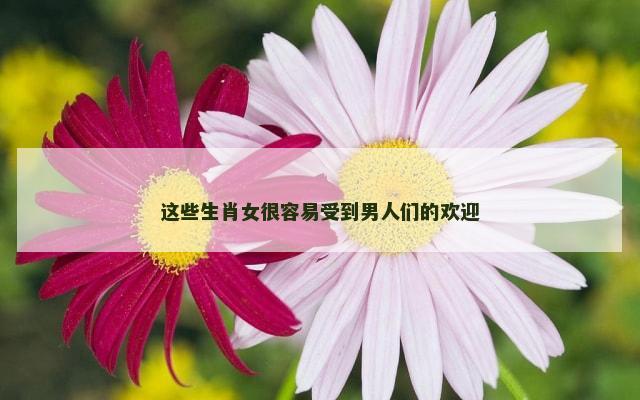 这些生肖女很容易受到男人们的欢迎