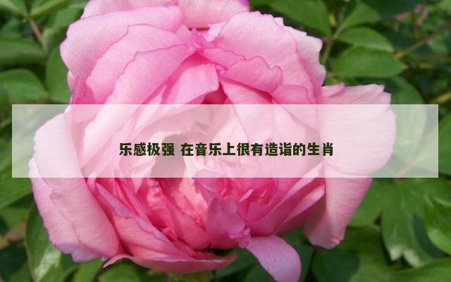 乐感极强 在音乐上很有造诣的生肖