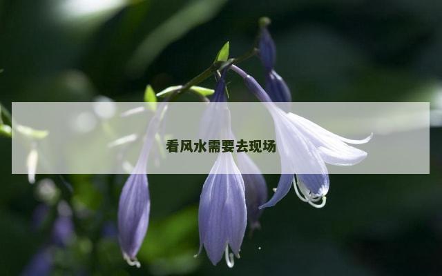 看风水需要去现场