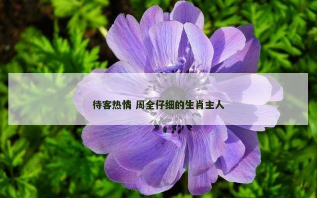 待客热情 周全仔细的生肖主人