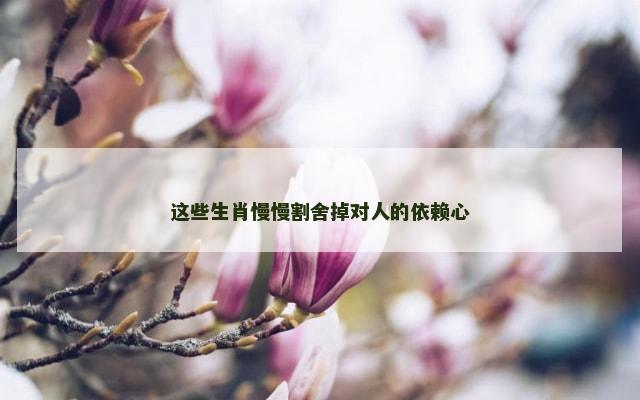 这些生肖慢慢割舍掉对人的依赖心