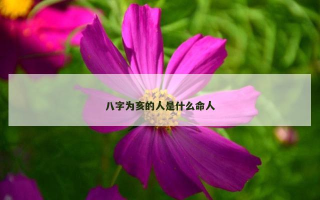 八字为亥的人是什么命人