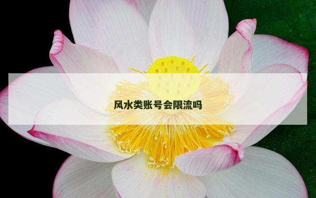 风水类账号会限流吗