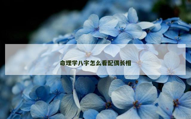 命理学八字怎么看配偶长相