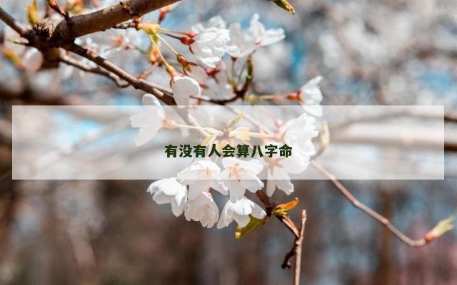 有没有人会算八字命