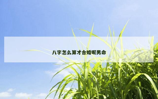 八字怎么算才合婚呢男命
