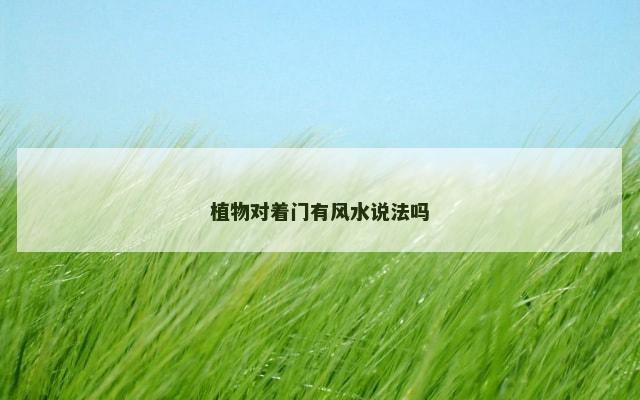 植物对着门有风水说法吗