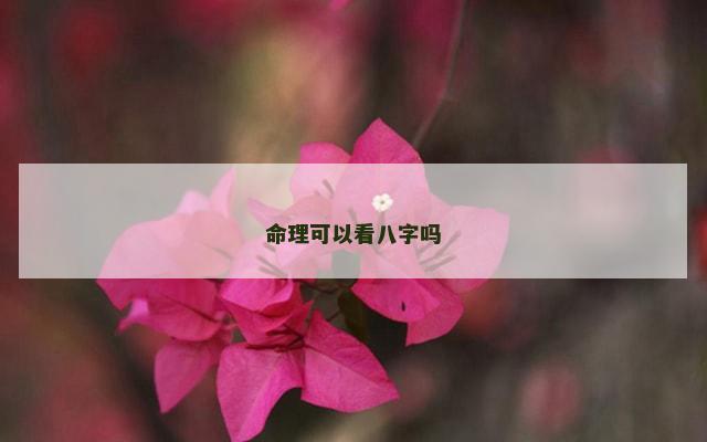 命理可以看八字吗