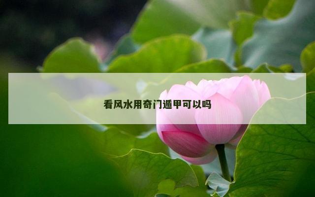 看风水用奇门遁甲可以吗