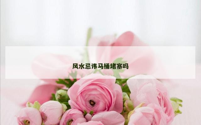 风水忌讳马桶堵塞吗