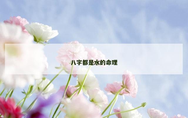八字都是水的命理