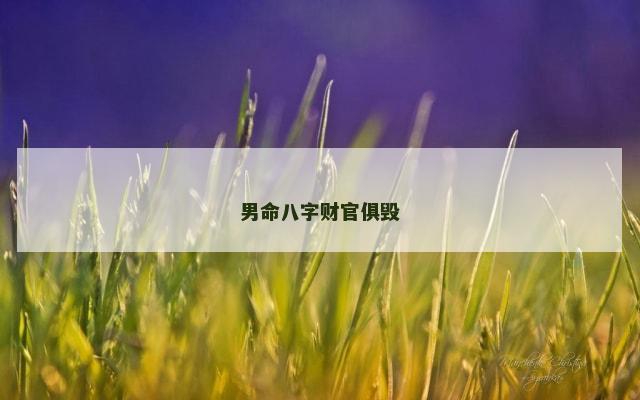 男命八字财官俱毁