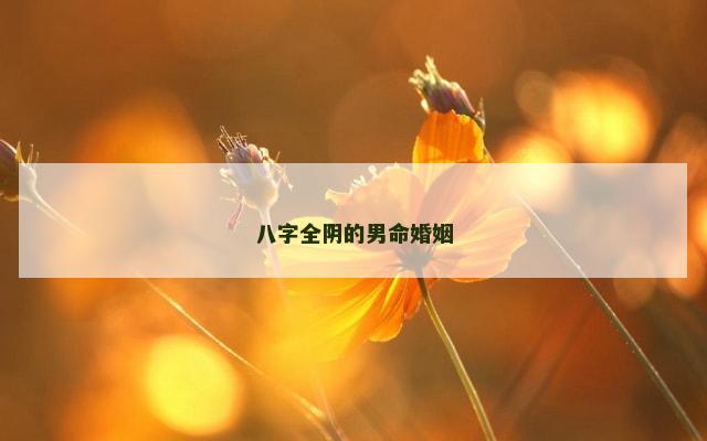 八字全阴的男命婚姻