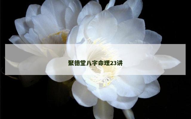 聚德堂八字命理23讲