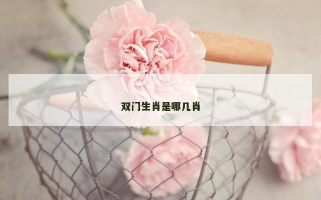 双门生肖是哪几肖