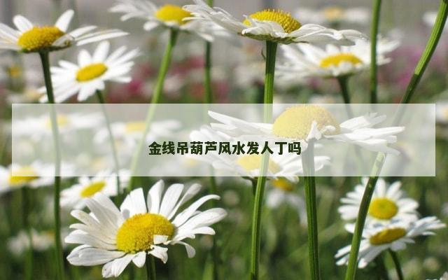 金线吊葫芦风水发人丁吗