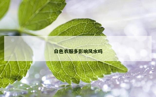 白色衣服多影响风水吗