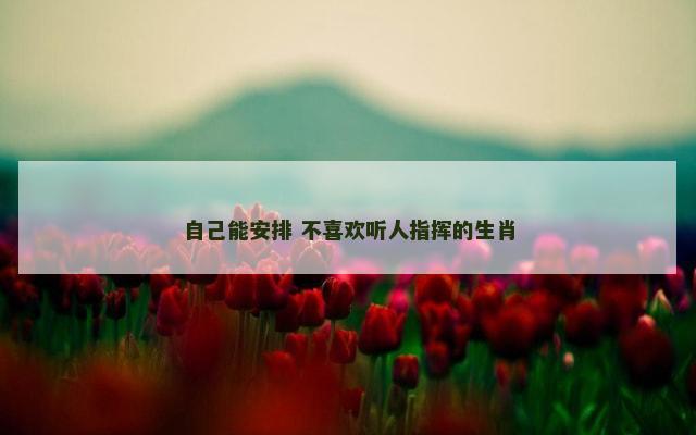 自己能安排 不喜欢听人指挥的生肖