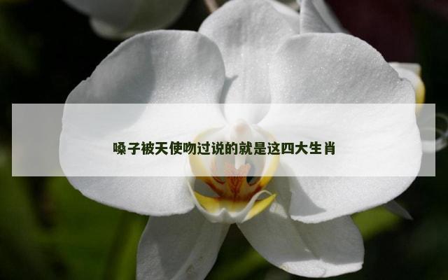 嗓子被天使吻过说的就是这四大生肖