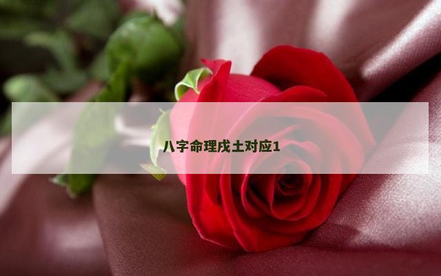八字命理戌土对应1