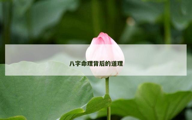 八字命理背后的道理