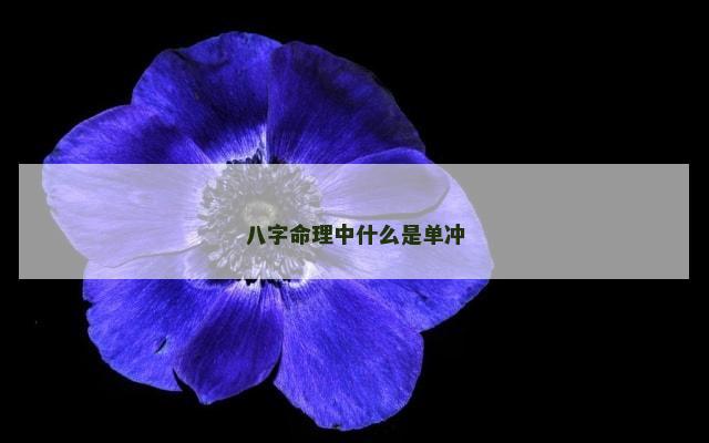 八字命理中什么是单冲