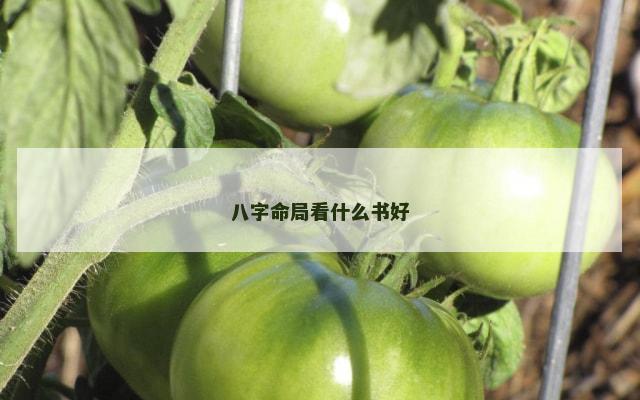 八字命局看什么书好