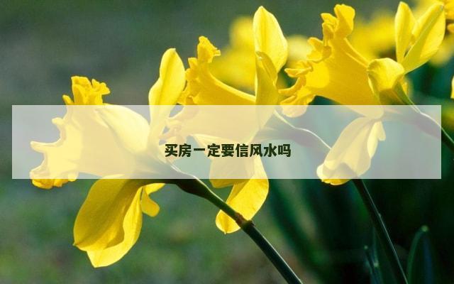 买房一定要信风水吗